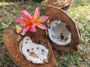 Lifou xodre coco